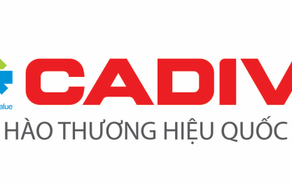 cáp điện cadivi bình dương