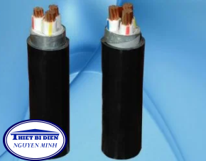 CXV/DSTA- 3x70+1x50 – 0.6//1 kV/Cáp điện lực hạ thế có giáp bảo vệ – 0,6/1 kV, TCVN 5935-1 (3 lõi pha + 1 lõi đất, ruột đồng, cách điện XLPE, giáp băng thép bảo vê, vỏ PVC)