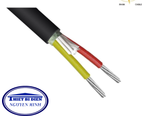  Cáp 2 lõi 0.6/1(1.2)kV - Cu/PVC/PVC 2x6mm2 (7/1.04)
