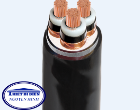 Cáp CXV/DATA–AXV/DATA 3.6/6 (7.2)kV