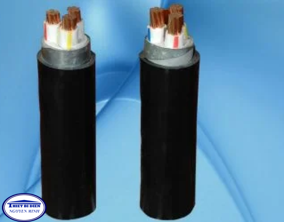 CXV/DSTA-3x10+1x6 – 0,6//1 kV