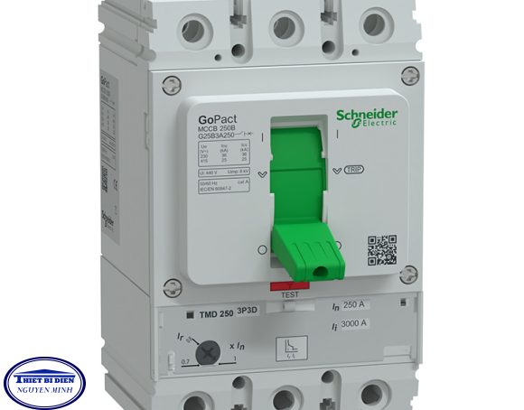 G25B3A250 MCCB Schneider GoPact 3P 250A 25KA