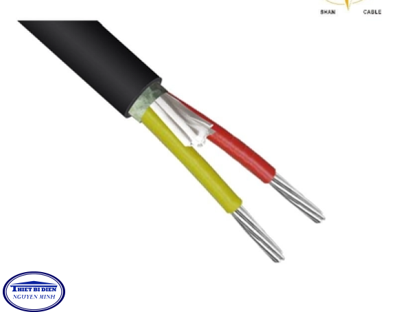  Cáp 2 lõi 0.6/1(1.2)kV - Cu/PVC/PVC 2x6mm2 (7/1.04)