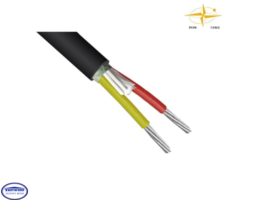  Cáp 2 lõi 0.6/1(1.2)kV - Cu/PVC/PVC 2x6mm2 (7/1.04)